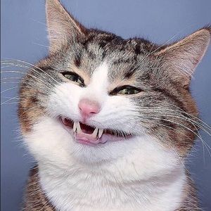 Meet your Posher, Kristin